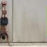 Bodyweight Workouts For Men - thumbnail of spread image 5 Thumbnail image of Bodyweight Workouts For Men - 5