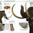 Dinosaur! - thumbnail of spread image 6 Thumbnail image of Dinosaur! - 6
