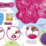 The Slime Book - thumbnail of spread image 3 Thumbnail image of The Slime Book - 3