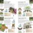 Butterflies and Moths - thumbnail of spread image 4 Thumbnail image of Butterflies and Moths - 4