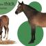 Touch and Feel: Ponies - thumbnail of spread image 2 Thumbnail image of Touch and Feel: Ponies - 2
