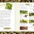 DK Readers L4: Spiders and Other Deadly Animals - thumbnail of spread image 4 Thumbnail image of DK Readers L4: Spiders and Other Deadly Animals - 4