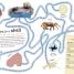 Ultimate Sticker Book: Ocean - thumbnail of spread image 4 Thumbnail image of Ultimate Sticker Book: Ocean - 4