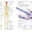 Biology - thumbnail of spread image 6 Thumbnail image of Biology - 6