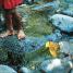 Photography - thumbnail of spread image 8 Thumbnail image of Photography - 8