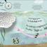 RHS How Does a Frog Grow? - thumbnail of spread image 2 Thumbnail image of RHS How Does a Frog Grow? - 2