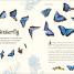An Anthology of Intriguing Animals - thumbnail of spread image 8 Thumbnail image of An Anthology of Intriguing Animals - 8