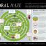 What Do You Believe? - thumbnail of spread image 4 Thumbnail image of What Do You Believe? - 4