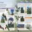 DK Eyewitness Books: Tree - thumbnail of spread image 4 Thumbnail image of DK Eyewitness Books: Tree - 4
