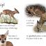 DK Readers L2: Wild Baby Animals - thumbnail of spread image 4 Thumbnail image of DK Readers L2: Wild Baby Animals - 4