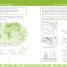 DK Workbooks: Geography, Fourth Grade - thumbnail of spread image 4 Thumbnail image of DK Workbooks: Geography, Fourth Grade - 4