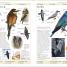 RSPB Birds of Britain and Europe - thumbnail of spread image 4 Thumbnail image of RSPB Birds of Britain and Europe - 4