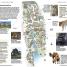 DK Eyewitness Travel Guide Chicago - thumbnail of spread image 6 Thumbnail image of DK Eyewitness Travel Guide Chicago - 6