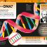 The DNA Book - thumbnail of spread image 2 Thumbnail image of The DNA Book - 2