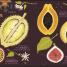 The Bat Book - thumbnail of spread image 4 Thumbnail image of The Bat Book - 4