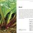The Kitchen Garden - thumbnail of spread image 5 Thumbnail image of The Kitchen Garden - 5