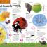 My First Encyclopedia - thumbnail of spread image 2 Thumbnail image of My First Encyclopedia - 2