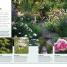 30 Minute Gardening - thumbnail of spread image 3 Thumbnail image of 30 Minute Gardening - 3
