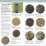 RSPB Pocket Garden Birdwatch - thumbnail of spread image 7 Thumbnail image of RSPB Pocket Garden Birdwatch - 7