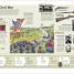 History Year by Year - thumbnail of spread image 7 Thumbnail image of History Year by Year - 7