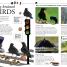 Everything You Need to Know About Birds - thumbnail of spread image 4 Thumbnail image of Everything You Need to Know About Birds - 4