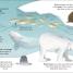 The Sea Book - thumbnail of spread image 6 Thumbnail image of The Sea Book - 6
