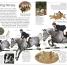 Horse - thumbnail of spread image 4 Thumbnail image of Horse - 4
