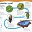 Did You Know? Science - thumbnail of spread image 3 Thumbnail image of Did You Know? Science - 3