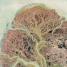 Earth - thumbnail of spread image 4 Thumbnail image of Earth - 4