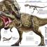 Knowledge Encyclopedia Dinosaur! - thumbnail of spread image 10 Thumbnail image of Knowledge Encyclopedia Dinosaur! - 10
