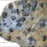 Dinosaurs and Prehistoric Life - thumbnail of spread image 8 Thumbnail image of Dinosaurs and Prehistoric Life - 8