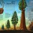 Life Cycles - thumbnail of spread image 2 Thumbnail image of Life Cycles - 2