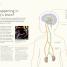 The Science of Parenting - thumbnail of spread image 3 Thumbnail image of The Science of Parenting - 3