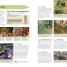 RHS Step-by-Step Veg Patch - thumbnail of spread image 4 Thumbnail image of RHS Step-by-Step Veg Patch - 4