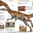 Knowledge Encyclopedia Dinosaur! - thumbnail of spread image 5 Thumbnail image of Knowledge Encyclopedia Dinosaur! - 5