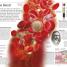 Human Body - thumbnail of spread image 4 Thumbnail image of Human Body - 4