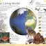 First Nature Encyclopedia - thumbnail of spread image 3 Thumbnail image of First Nature Encyclopedia - 3