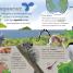 My Encyclopedia of Very Important Animals - thumbnail of spread image 5 Thumbnail image of My Encyclopedia of Very Important Animals - 5