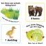 Animal Counting - thumbnail of spread image 6 Thumbnail image of Animal Counting - 6