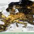 Where on Earth? Atlas - thumbnail of spread image 4 Thumbnail image of Where on Earth? Atlas - 4