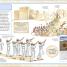 Bible Characters Visual Encyclopedia - thumbnail of spread image 6 Thumbnail image of Bible Characters Visual Encyclopedia - 6