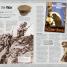 World War I - thumbnail of spread image 6 Thumbnail image of World War I - 6
