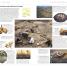 DK Eyewitness Travel Guide Canada - thumbnail of spread image 1 Thumbnail image of DK Eyewitness Travel Guide Canada - 1