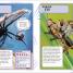 Nature's Deadliest Creatures Visual Encyclopedia - thumbnail of spread image 7 Thumbnail image of Nature's Deadliest Creatures Visual Encyclopedia - 7