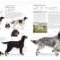 The Dog Encyclopedia - thumbnail of spread image 4 Thumbnail image of The Dog Encyclopedia - 4