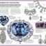 Nature Guide Gems - thumbnail of spread image 4 Thumbnail image of Nature Guide Gems - 4