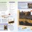 Eyewitness Explorer: Bug Hunter - thumbnail of spread image 4 Thumbnail image of Eyewitness Explorer: Bug Hunter - 4
