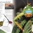 Eye Wonder: Bugs - thumbnail of spread image 4 Thumbnail image of Eye Wonder: Bugs - 4