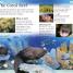 First Nature Encyclopedia - thumbnail of spread image 4 Thumbnail image of First Nature Encyclopedia - 4