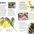 Butterflies and Moths - thumbnail of spread image 4 Thumbnail image of Butterflies and Moths - 4